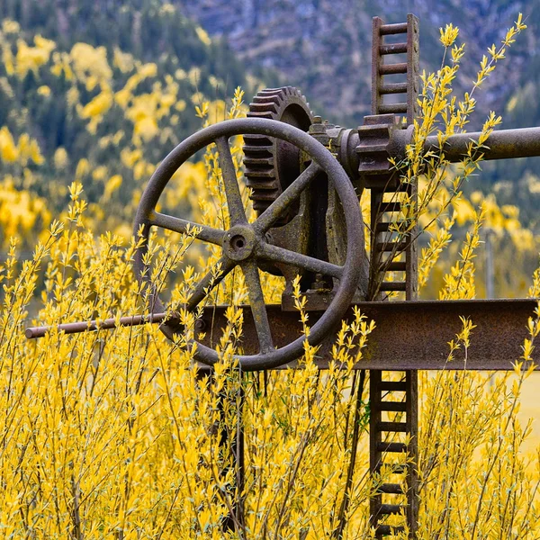 c7娱乐老虎机游戏